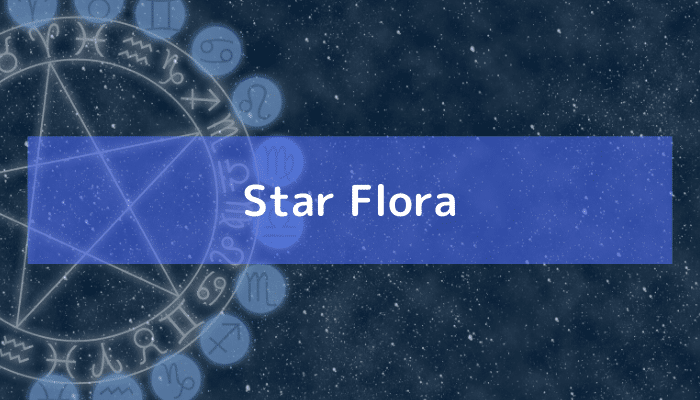 Star Floraの画像